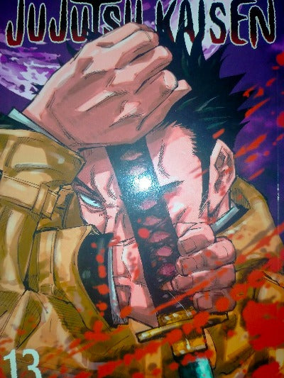 Jujutsu Kaisen Vol. 13